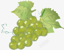 绿色葡萄卡通水果素材
