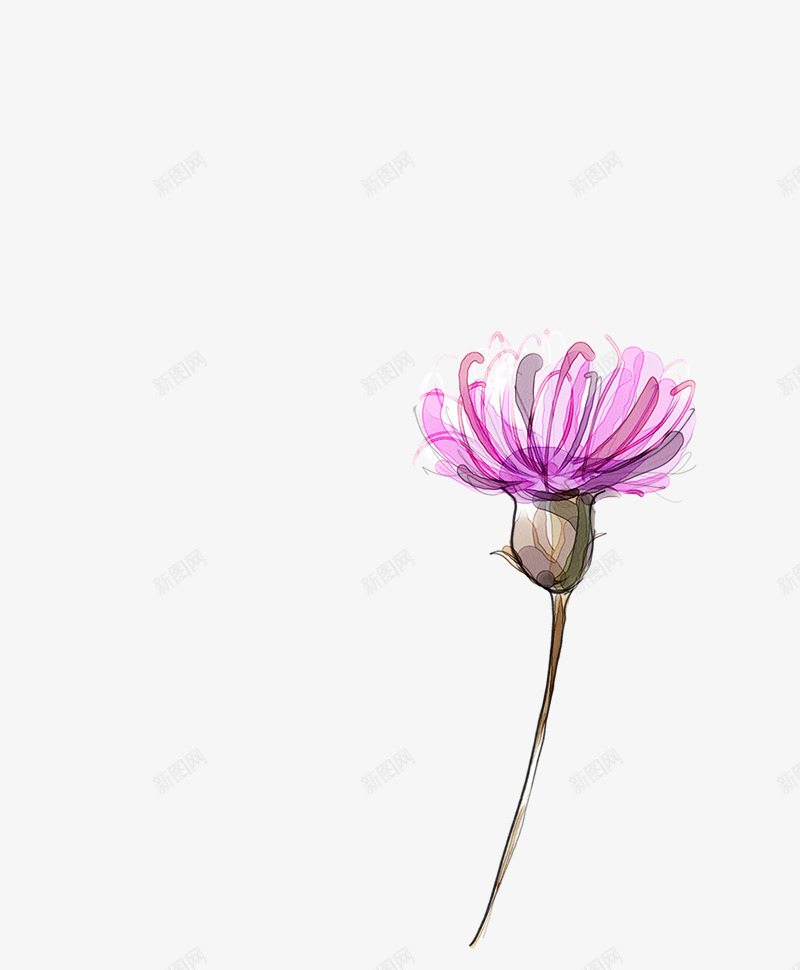 彩绘抽象花朵紫色花朵png免抠素材_新图网 https://ixintu.com 彩绘 抽象 紫色 花朵