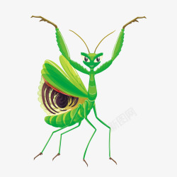 绿色螳螂卡通插画矢量图素材