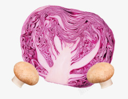 过年炒菜紫色包菜高清图片
