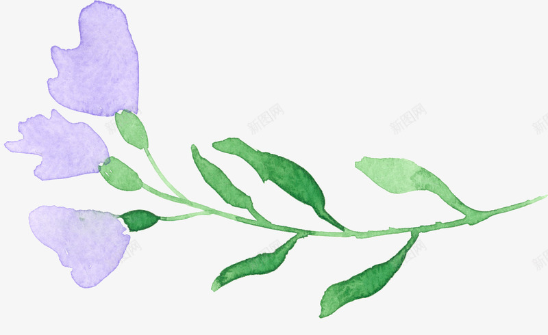 紫色喇叭花png免抠素材_新图网 https://ixintu.com 卡通 叶子 手绘 桔梗 泼墨 紫色 绿色 花朵 装饰