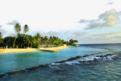 马尔代夫满月岛圣塔拉岛景观高清图片