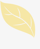 树叶透明质感图标png_新图网 https://ixintu.com 图标 树叶 质感 透明