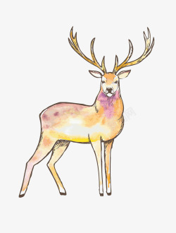 七色鹿彩绘鹿的图案高清图片