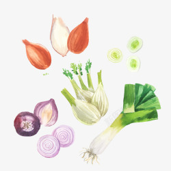 蔬菜彩绘素材