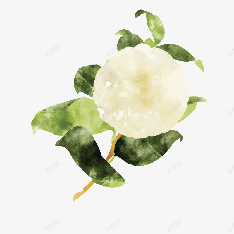卡通创意手绘花卉矢量图ai免抠素材_新图网 https://ixintu.com 彩绘 手绘 植物 白色的花朵 绿色的叶子 花卉 矢量图