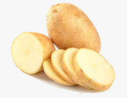 黄色皮黄色小土豆高清图片