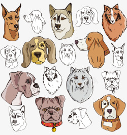 手绘各种宠物狗的头部素材