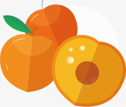 手绘杏子美味的黄色杏子矢量图高清图片