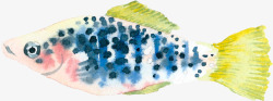 黑点鱼手绘蓝条黑点鱼高清图片