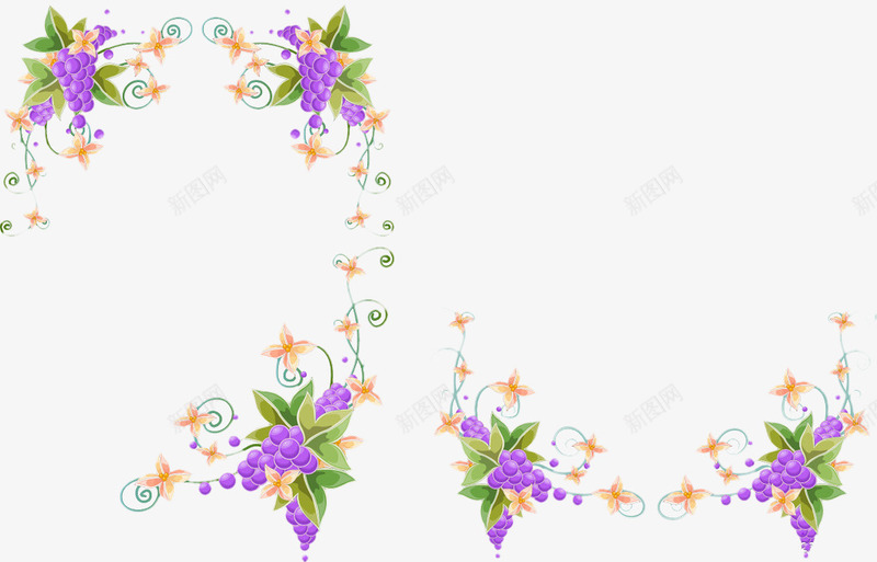 葡萄藤png免抠素材_新图网 https://ixintu.com 创意装饰 植物 紫色 葡萄