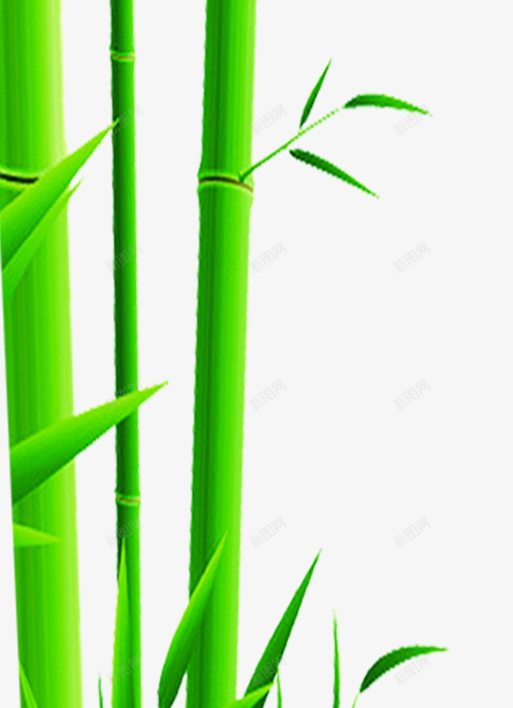 扁平手绘质感绿色的竹子png免抠素材_新图网 https://ixintu.com 扁平 竹子 绿色 质感
