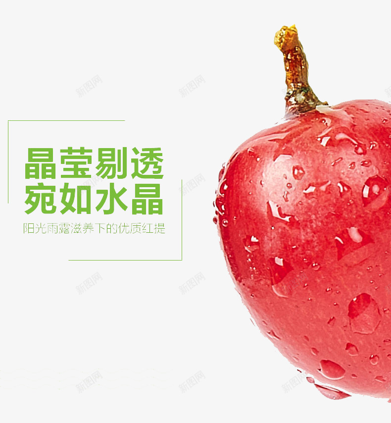 新鲜水果图png免抠素材_新图网 https://ixintu.com 提子 新鲜水果 葡萄