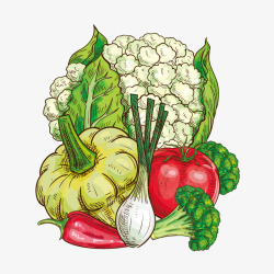 手绘各种食材蔬菜素材