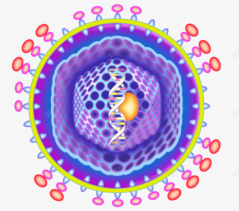 分子细胞生物科学示意图png免抠素材_新图网 https://ixintu.com 平面 彩绘 彩色教学图 彩色细胞 生物科学 生物细胞 细胞科学