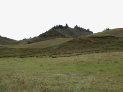 绿色的山坡素材