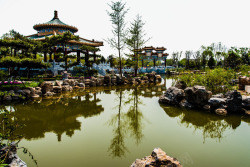 唐山唐山南湖公园自然风景高清图片