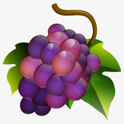 葡萄食品桌面自助图标图标