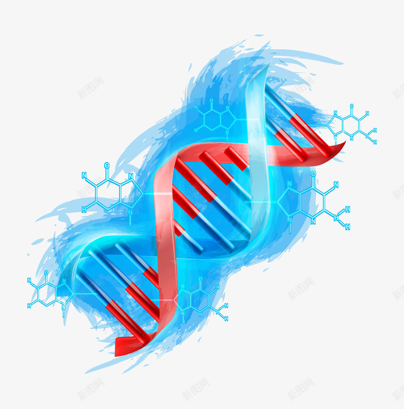 蓝色光泽基因显示图png免抠素材_新图网 https://ixintu.com 光泽 创意 卡通 商务 基因 手绘 红色 蓝色 质感