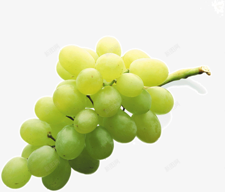 成熟葡萄提子png免抠素材_新图网 https://ixintu.com 成熟 提子 水果 绿色 葡萄