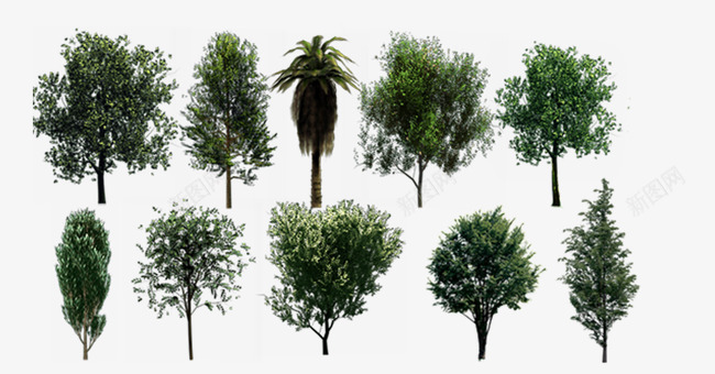 各种类型的树png免抠素材_新图网 https://ixintu.com 大树 小树 植物