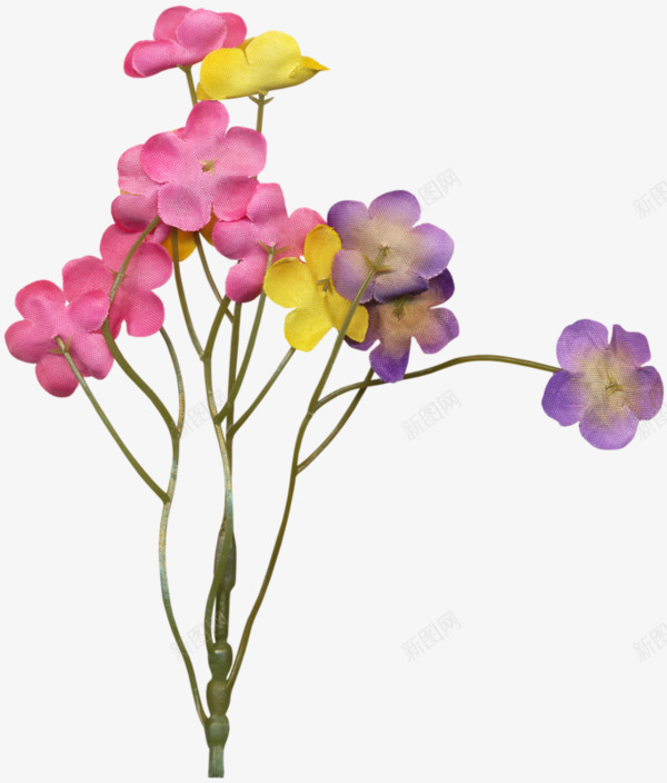 各种颜色的小花png免抠素材_新图网 https://ixintu.com 小花 花朵 鲜花