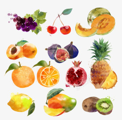 各色水果手绘各色水果高清图片