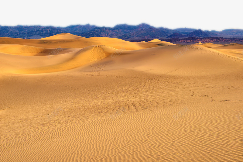 一望无垠的撒哈拉沙漠摄影png免抠素材_新图网 https://ixintu.com 一望无垠 摄影 撒哈拉 沙漠