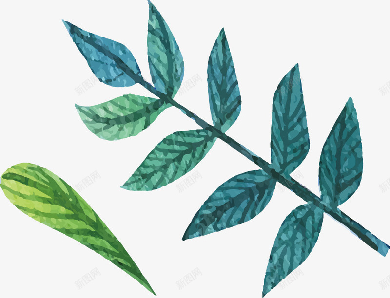 树叶png免抠素材_新图网 https://ixintu.com 彩绘 手工 手绘 树叶 植物 植被 水彩画 油漆 花卉 风格