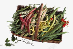 创意篮子中的各种蔬菜素材