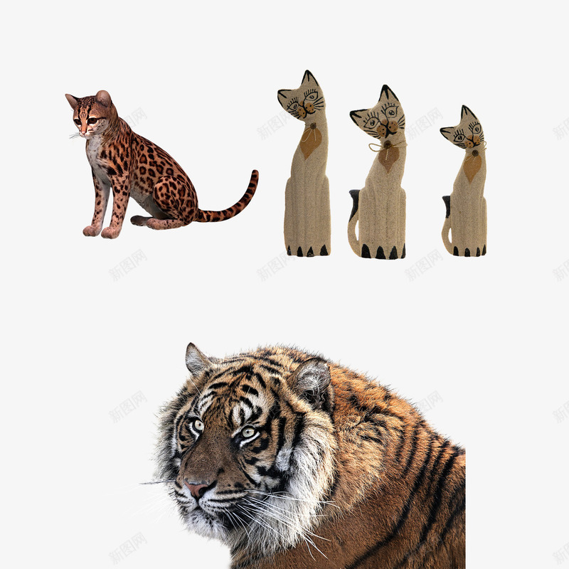 三种类型猫的各种状态png免抠素材_新图网 https://ixintu.com 三种 各种 状态 猫 类型