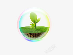环抱水晶球里的绿芽高清图片