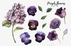 话多输花朵素材各种紫色花朵高清图片