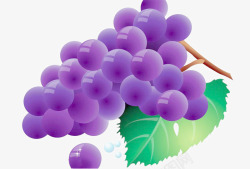紫色水晶葡萄素材
