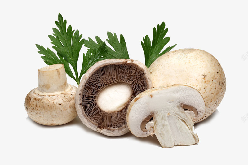 白色香菇png免抠素材_新图网 https://ixintu.com 白色香菇摄影图 蘑菇 香菇 香菇摄影图