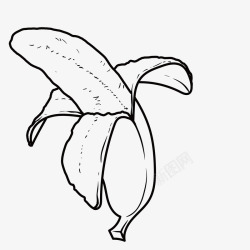 剥皮果肉简笔手绘美味香蕉图标高清图片