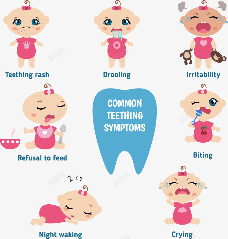 卡通婴儿牙齿牙科保护注解png免抠素材_新图网 https://ixintu.com 可爱牙齿 婴儿 教育图示