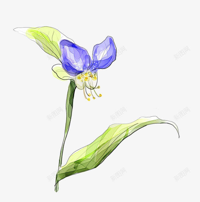 彩绘抽象花朵蓝色花朵装饰png免抠素材_新图网 https://ixintu.com 彩绘 抽象 花朵 蓝色 装饰