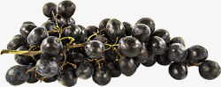 一串黑色的葡桃一串葡萄高清图片