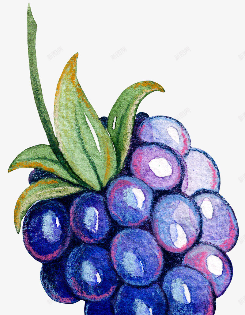 一串紫葡萄png免抠素材_新图网 https://ixintu.com 小清新 手绘 水果蔬菜 淘宝素材