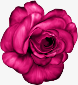 暗红色玫瑰花彩绘素材