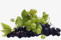 多彩葡萄多彩好吃美食葡萄叶藤图高清图片