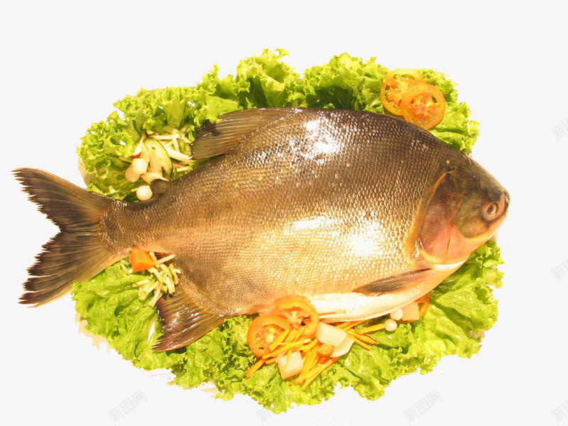 鲳鱼摄影png免抠素材_新图网 https://ixintu.com 中餐 实物 摄影 海鲜 美食 美食摄影 莴苣 餐饮 鱼 鲳鱼
