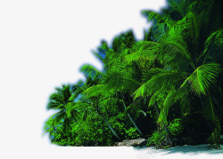 海边沙滩摄影椰子树素材