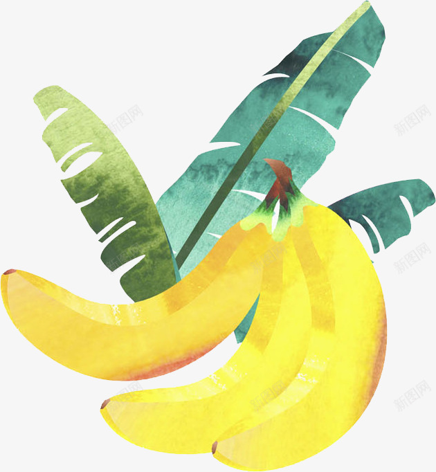 黄色的香蕉和绿色的芭蕉叶png免抠素材_新图网 https://ixintu.com 卡通 叶子 手绘 水彩 绿色 美味 香蕉 黄色