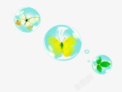 水晶球里的蝴蝶树叶素材