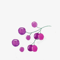 清新简约手绘紫色葡萄素材