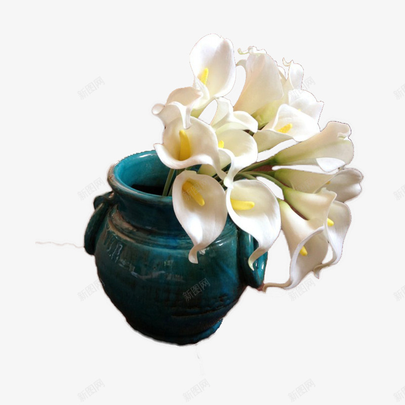 白色马蹄png免抠素材_新图网 https://ixintu.com 心情愉悦 枝叶 爱情 白色花束 白色花簇 盛开 纯洁