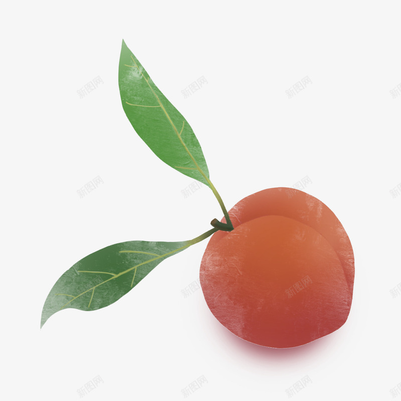 美味的水果桃子png免抠素材_新图网 https://ixintu.com 手绘 桃子 水果 美味