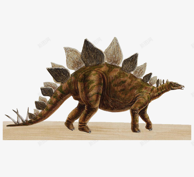 脊背菱形刺的恐龙png免抠素材_新图网 https://ixintu.com 侏罗纪 动物 恐龙 脊背 菱形